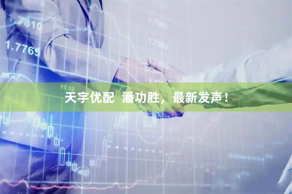天宇优配  潘功胜，最新发声！