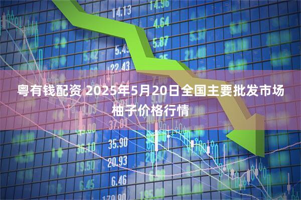 粤有钱配资 2025年5月20日全国主要批发市场柚子价格行情