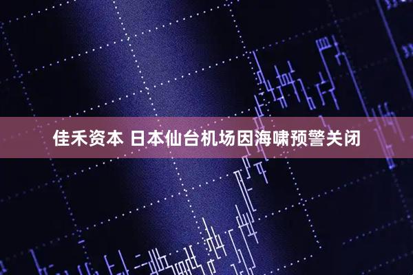 佳禾资本 日本仙台机场因海啸预警关闭