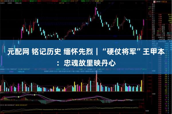 元配网 铭记历史 缅怀先烈｜“硬仗将军”王甲本：忠魂故里映丹心