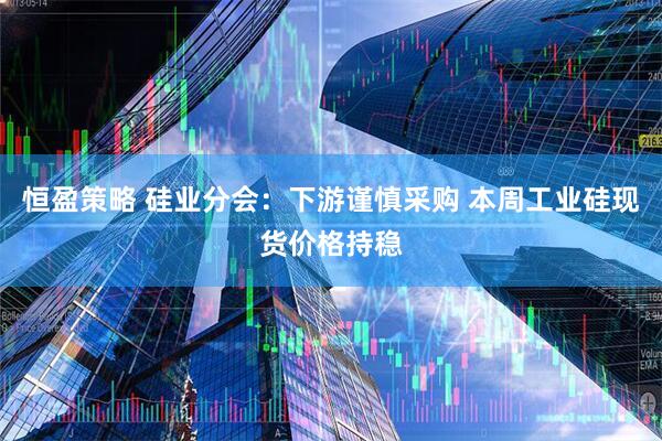 恒盈策略 硅业分会：下游谨慎采购 本周工业硅现货价格持稳