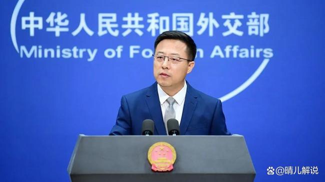 荷兰被批劫掠中企 披着合法外衣的明抢